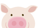 pig
