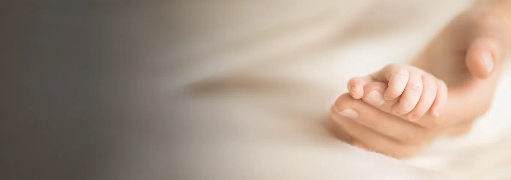 Palliative Support Care